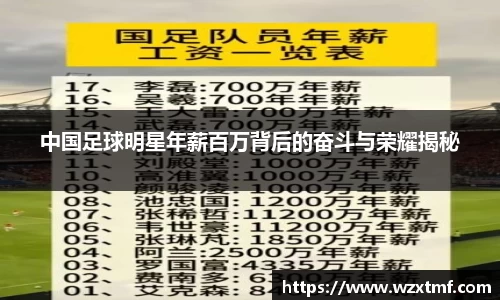 中国足球明星年薪百万背后的奋斗与荣耀揭秘